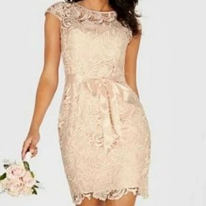Adriana Papell Lace Blush Pink Dress size 6